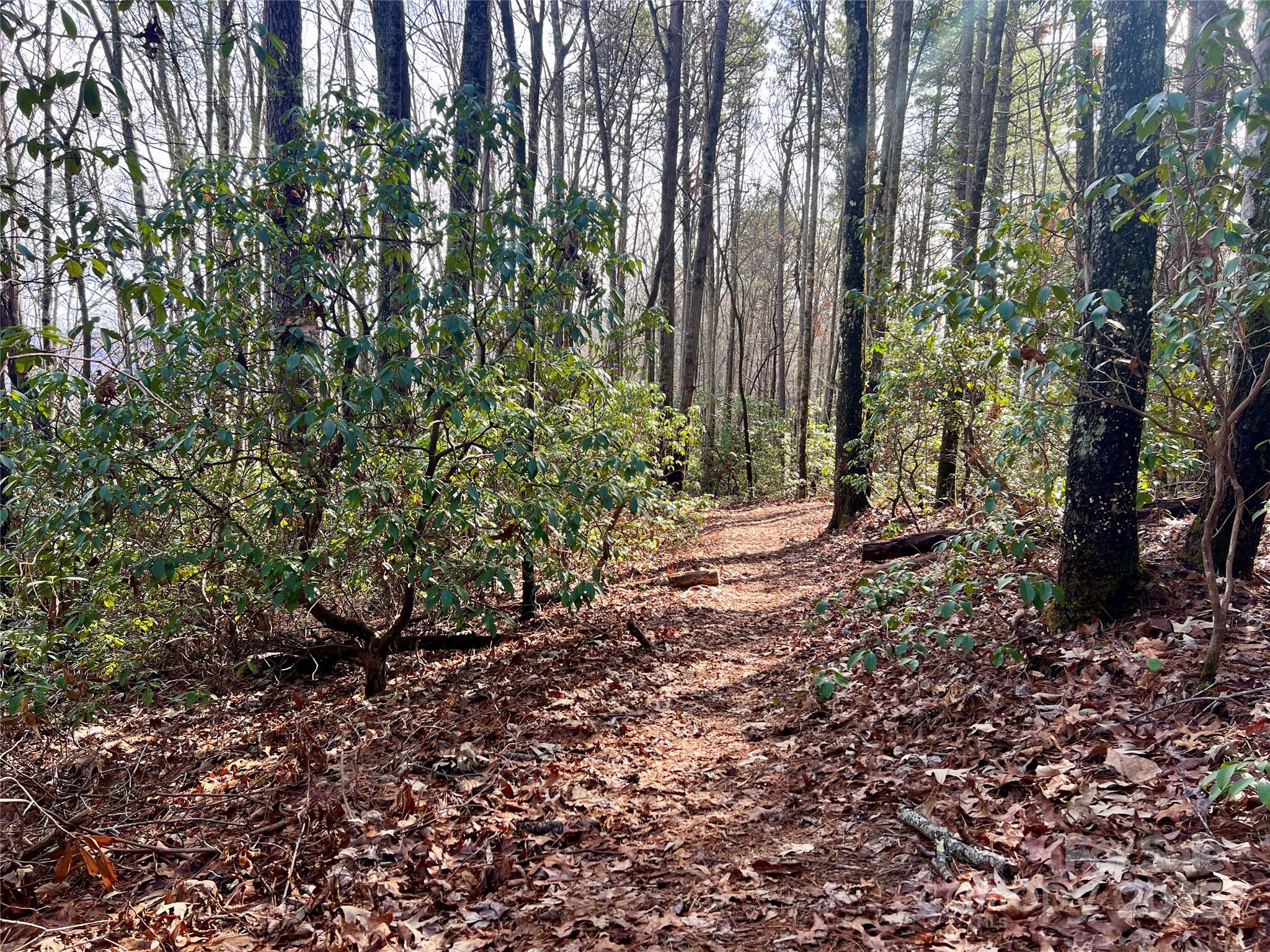 Camp 2 Long Ridge Road Property Photo 24