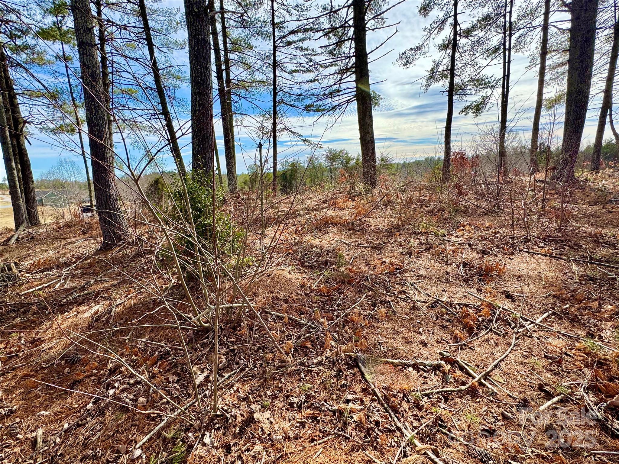 Lot G23 Thoroughbred Way Lot G23 Property Photo 2