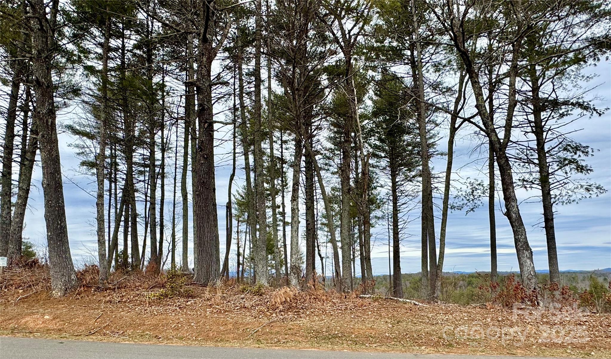Lot G23 Thoroughbred Way Lot G23 Property Photo 3