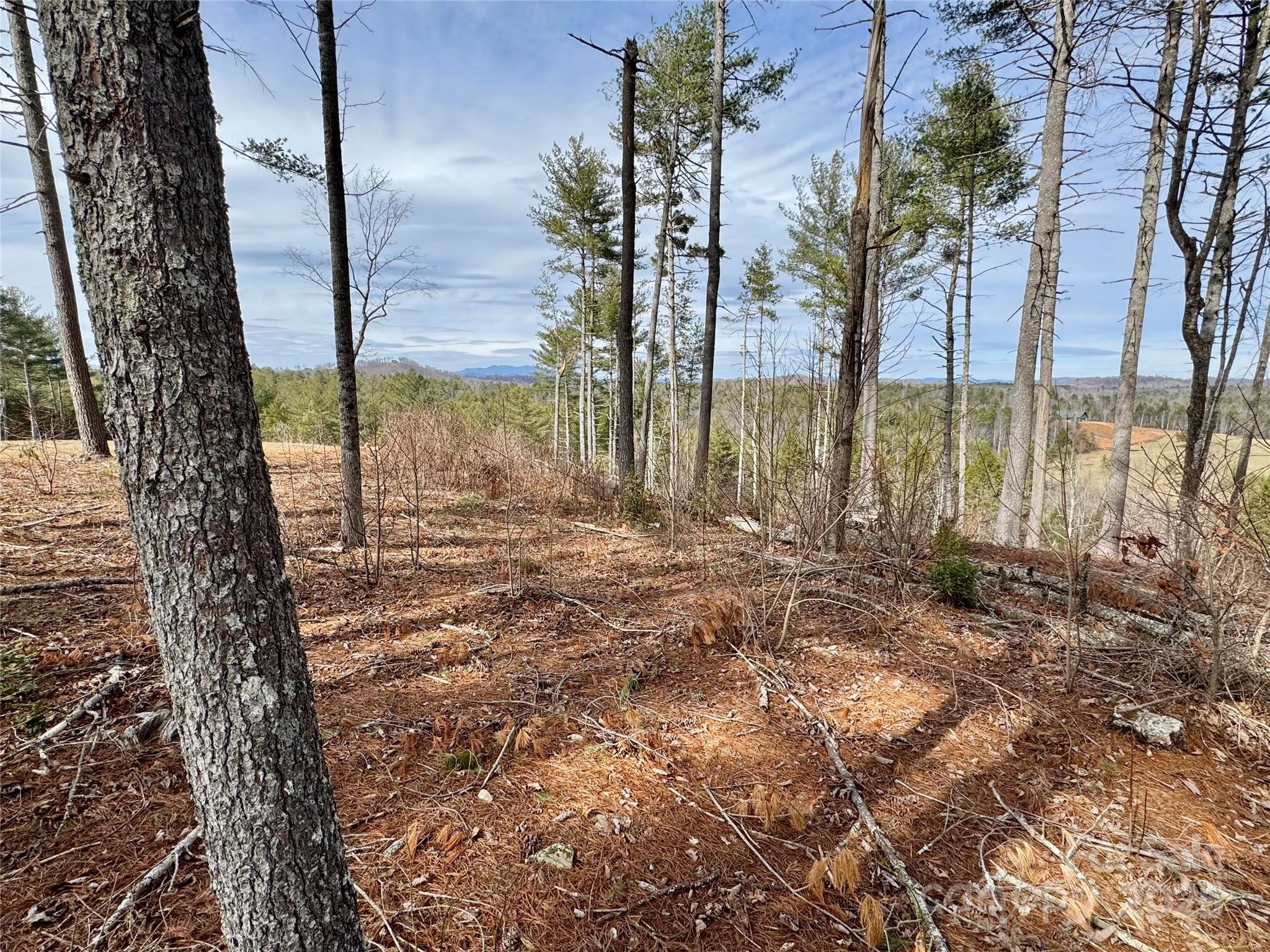 Lot G23 Thoroughbred Way Lot G23 Property Photo 5