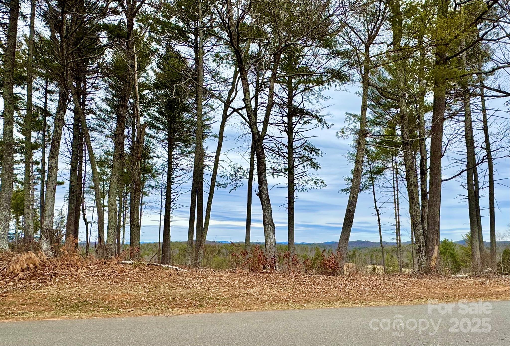 Lot G23 Thoroughbred Way Lot G23 Property Photo 10
