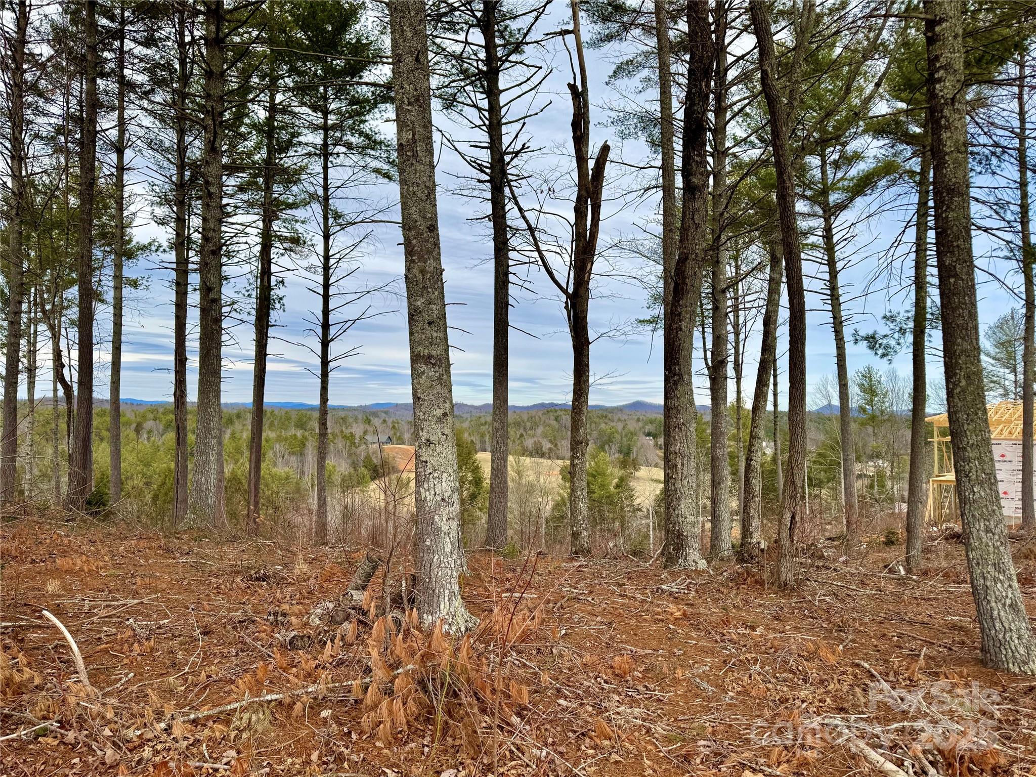 Lot G23 Thoroughbred Way Lot G23 Property Photo 11