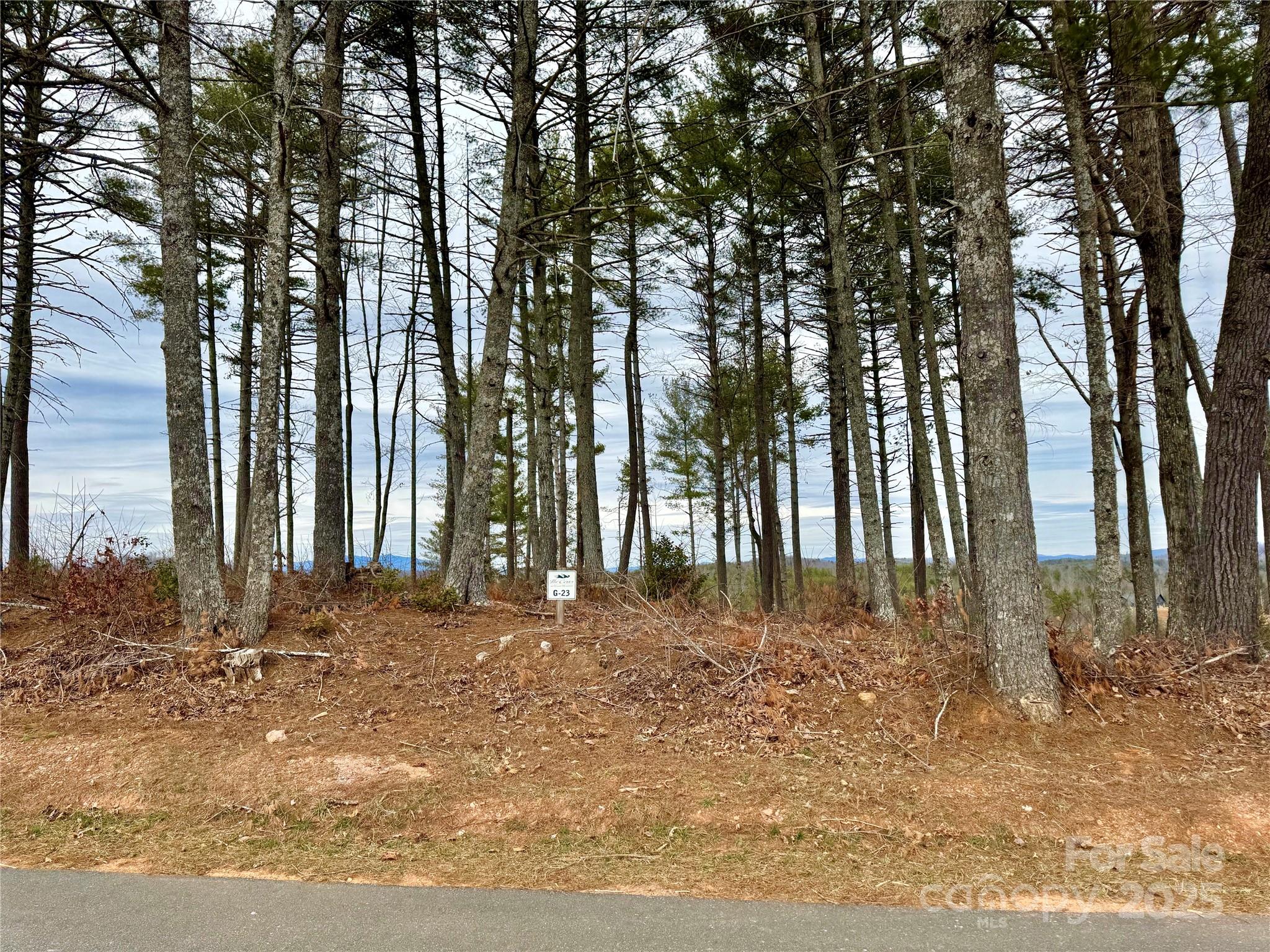 Lot G23 Thoroughbred Way Lot G23 Property Photo 12