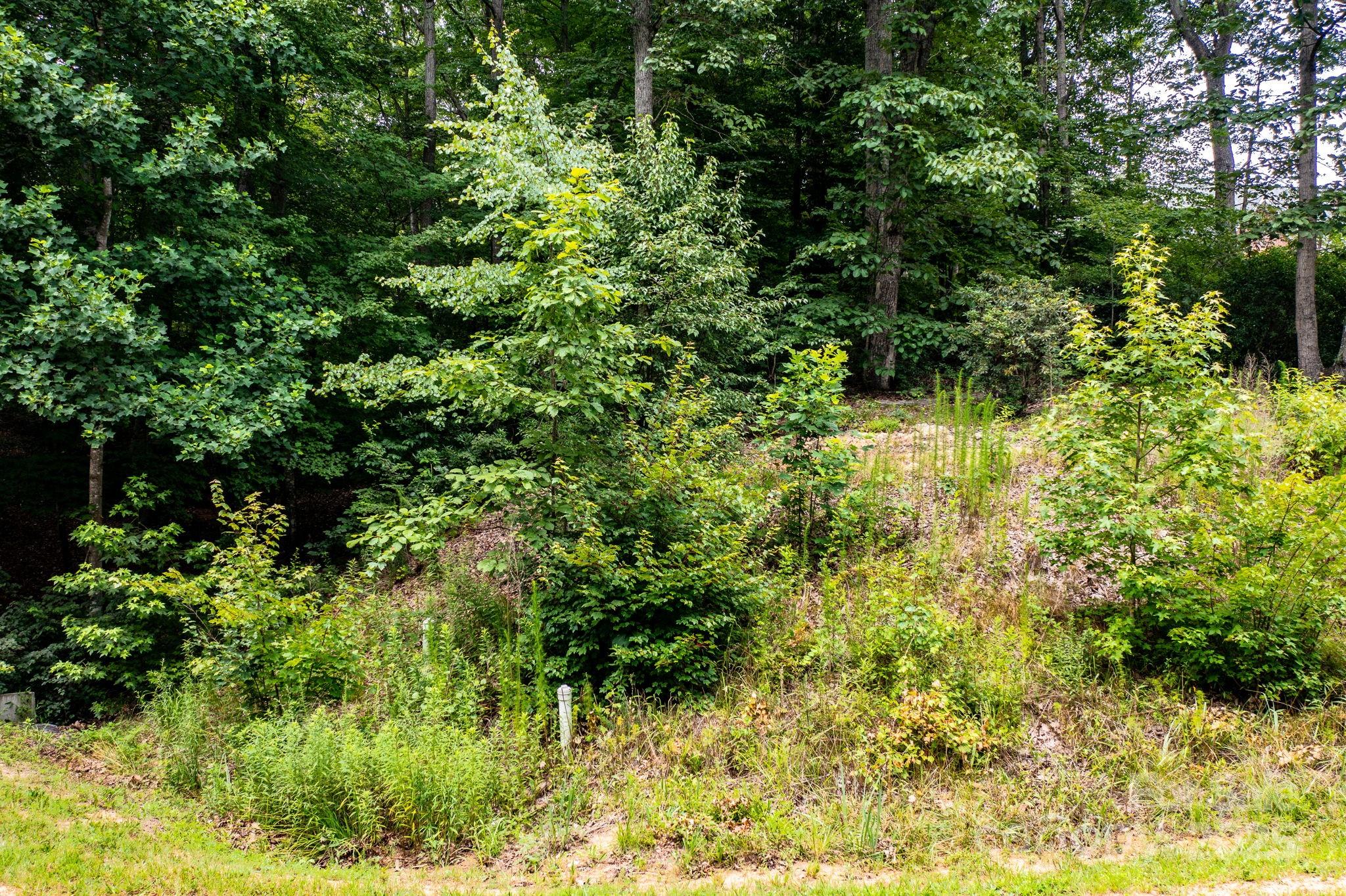 351 I-40 Access Road Property Photo 8