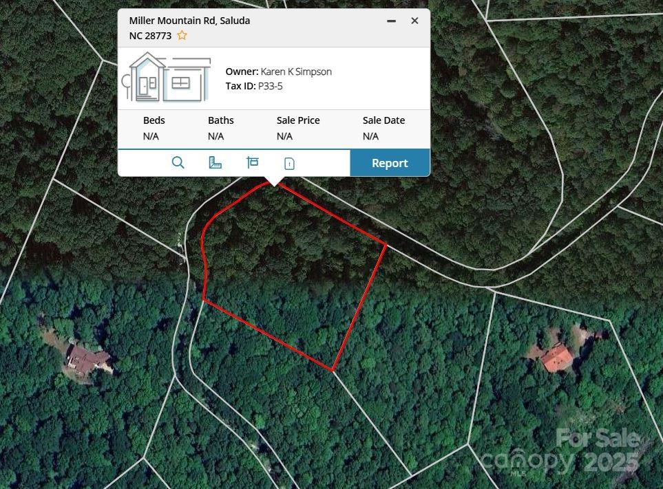 0000 Tbd Miller Mountain Road Property Photo