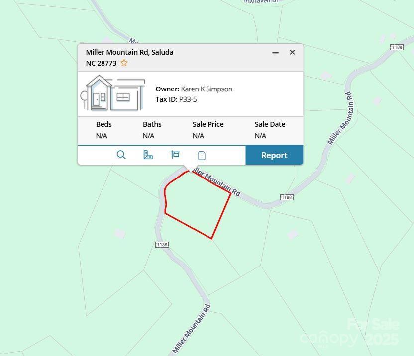 0000 Tbd Miller Mountain Road Property Photo 2