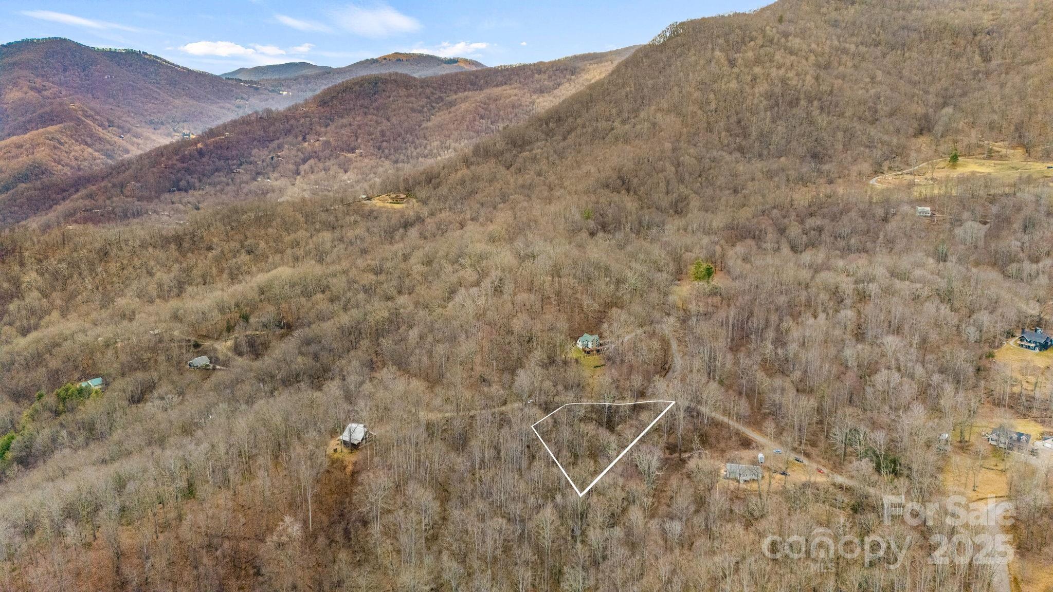 Tbd Wolverine Court 40 Property Photo 4