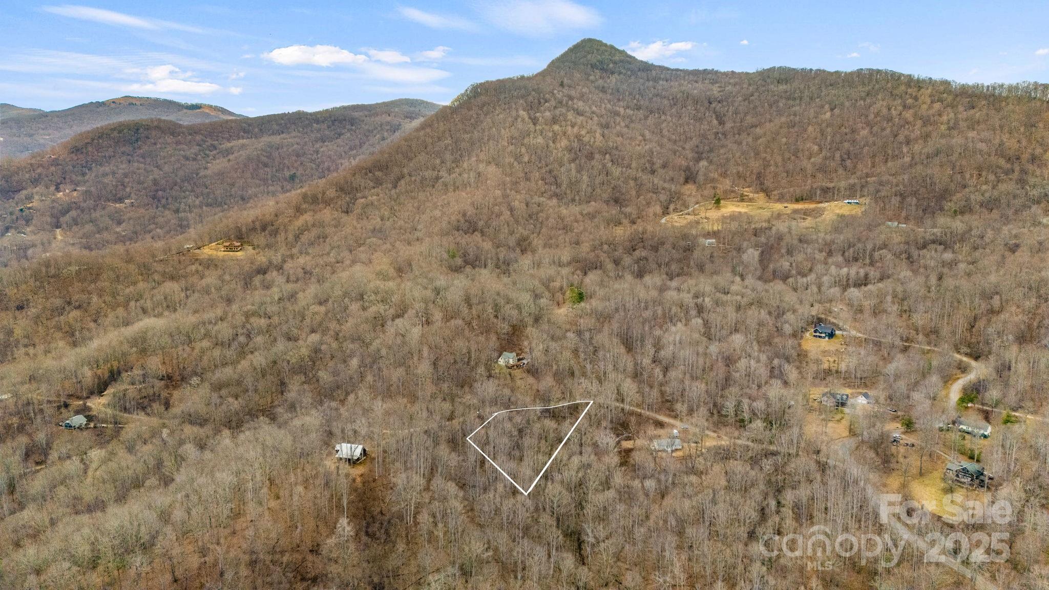 Tbd Wolverine Court 40 Property Photo 5