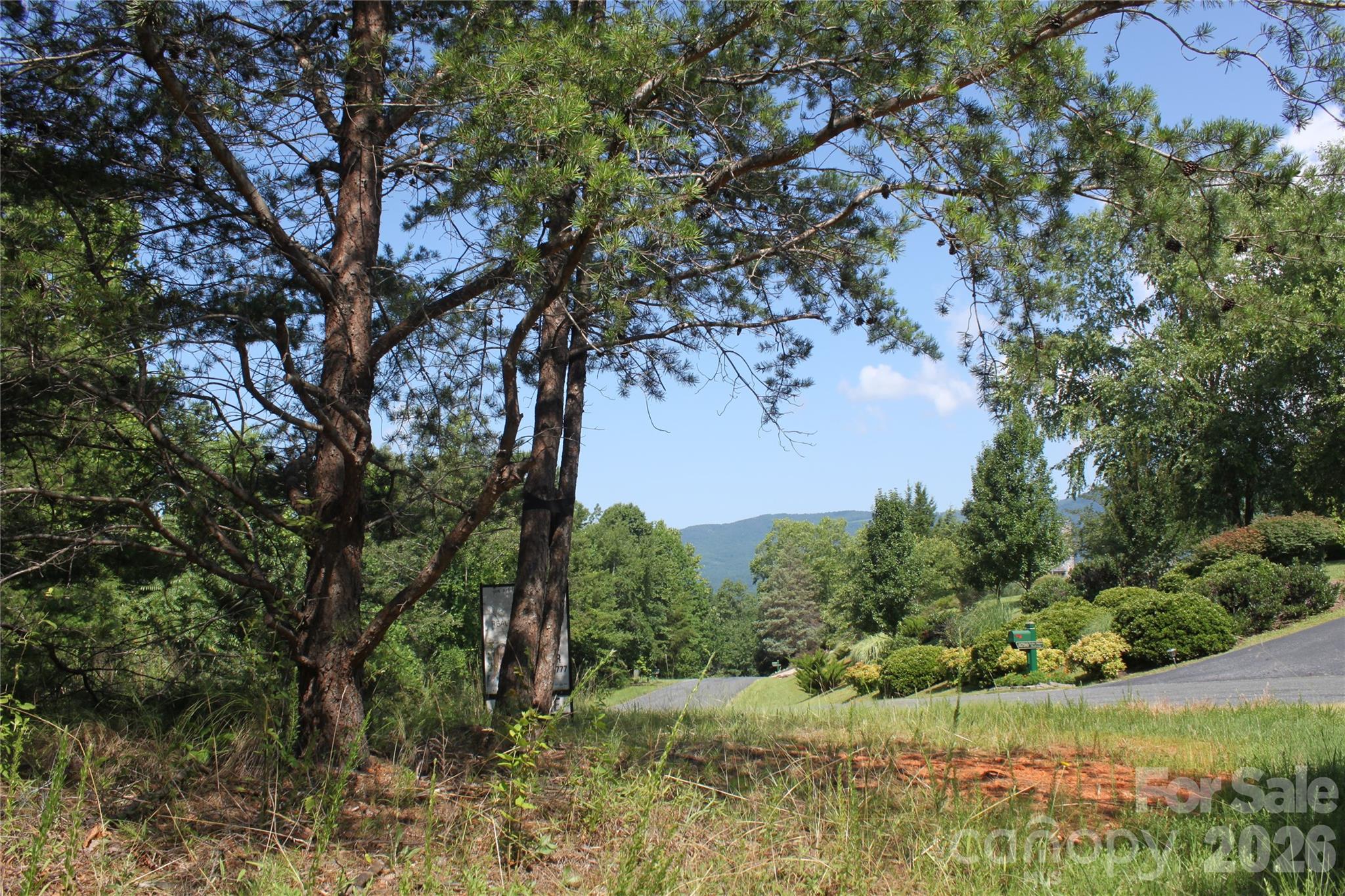 Lot #28 Lake Adger Parkway 28 Property Photo 6