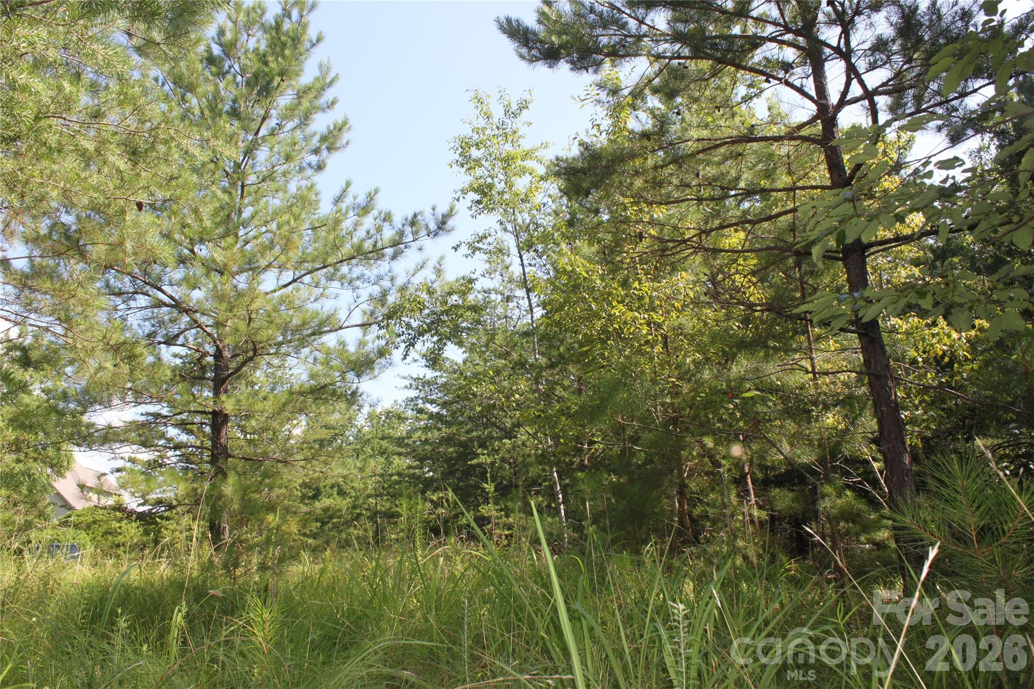 Lot #28 Lake Adger Parkway 28 Property Photo 7
