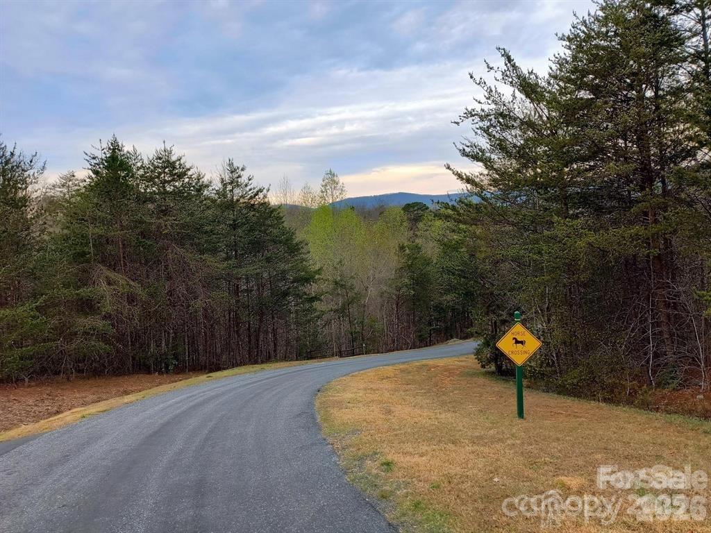 Lot #28 Lake Adger Parkway 28 Property Photo 19