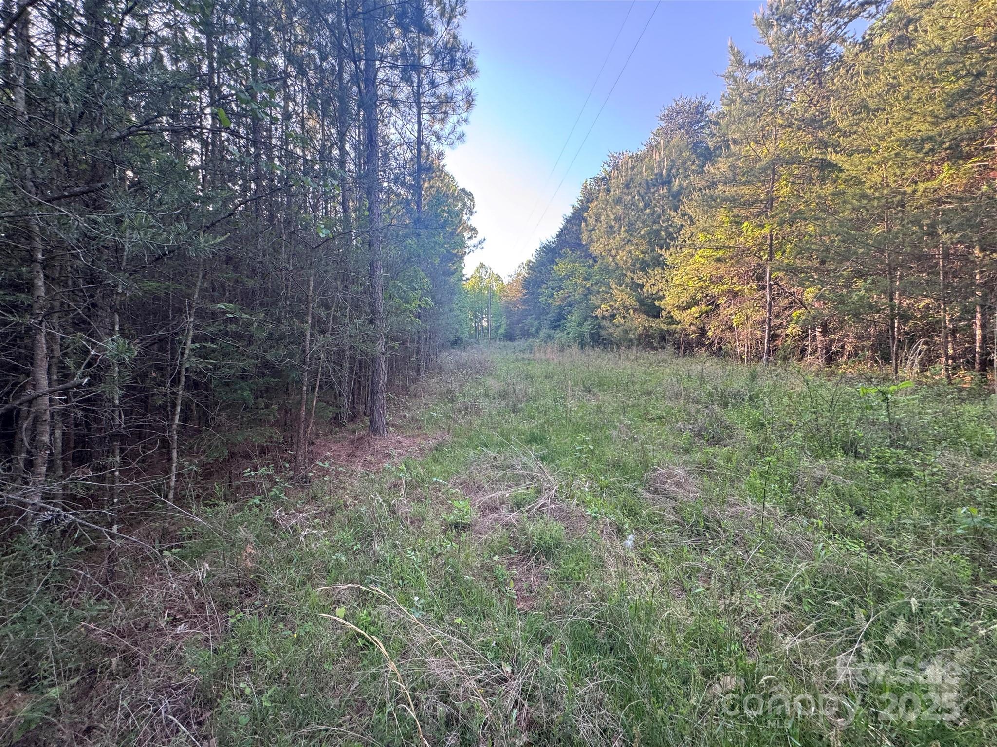 4675 Harmony Highway Property Photo 2