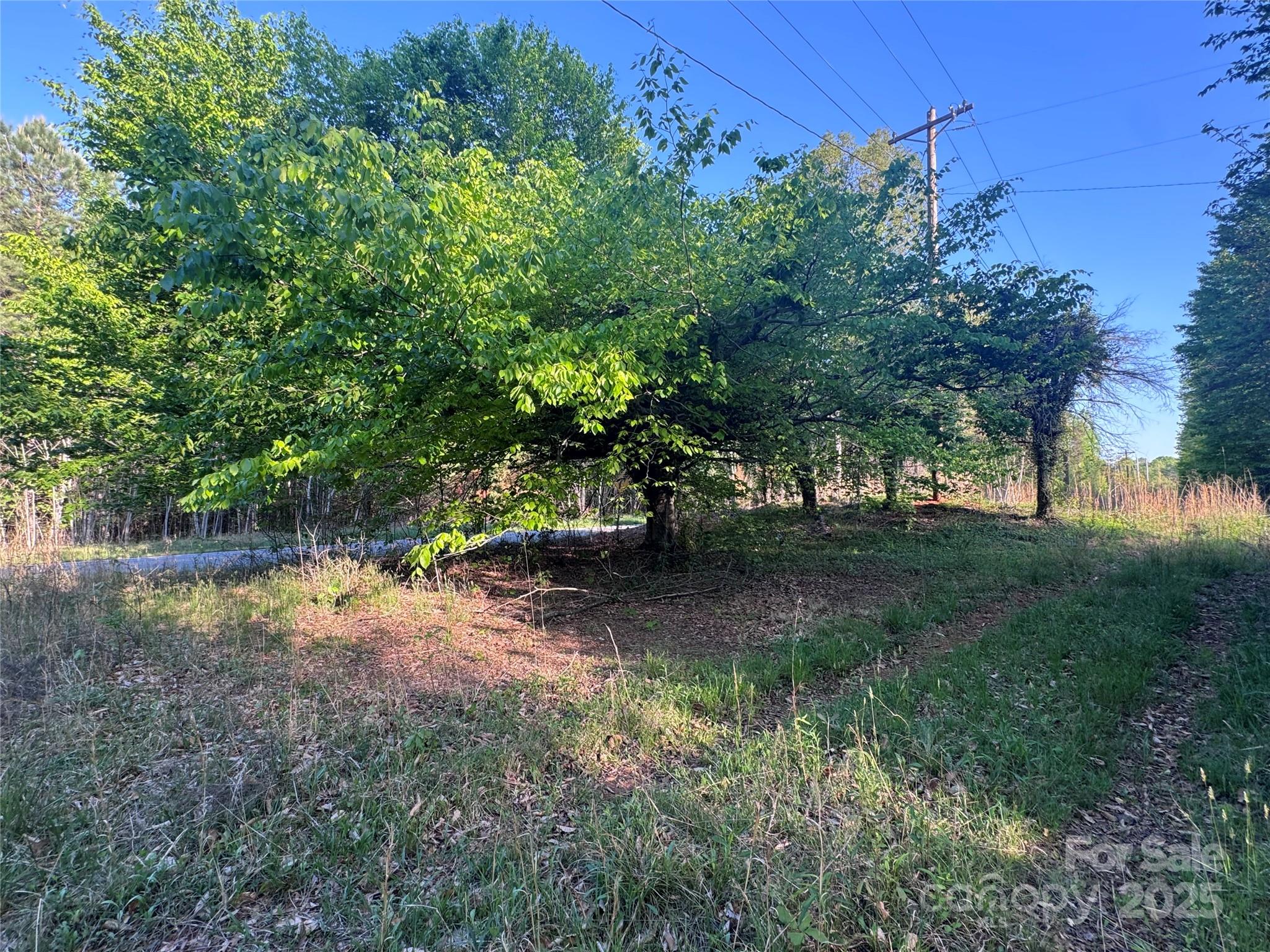 4675 Harmony Highway Property Photo 12