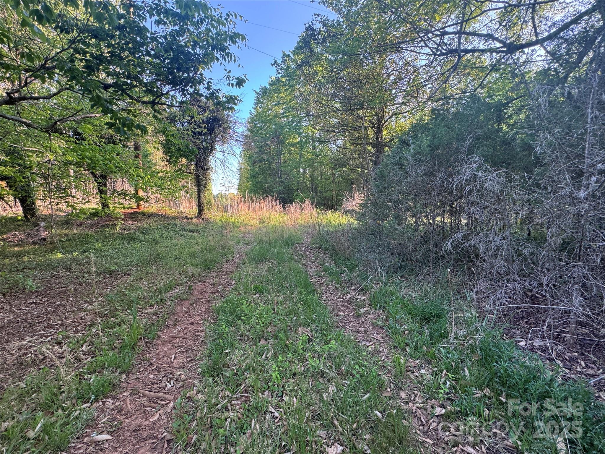 4675 Harmony Highway Property Photo 14