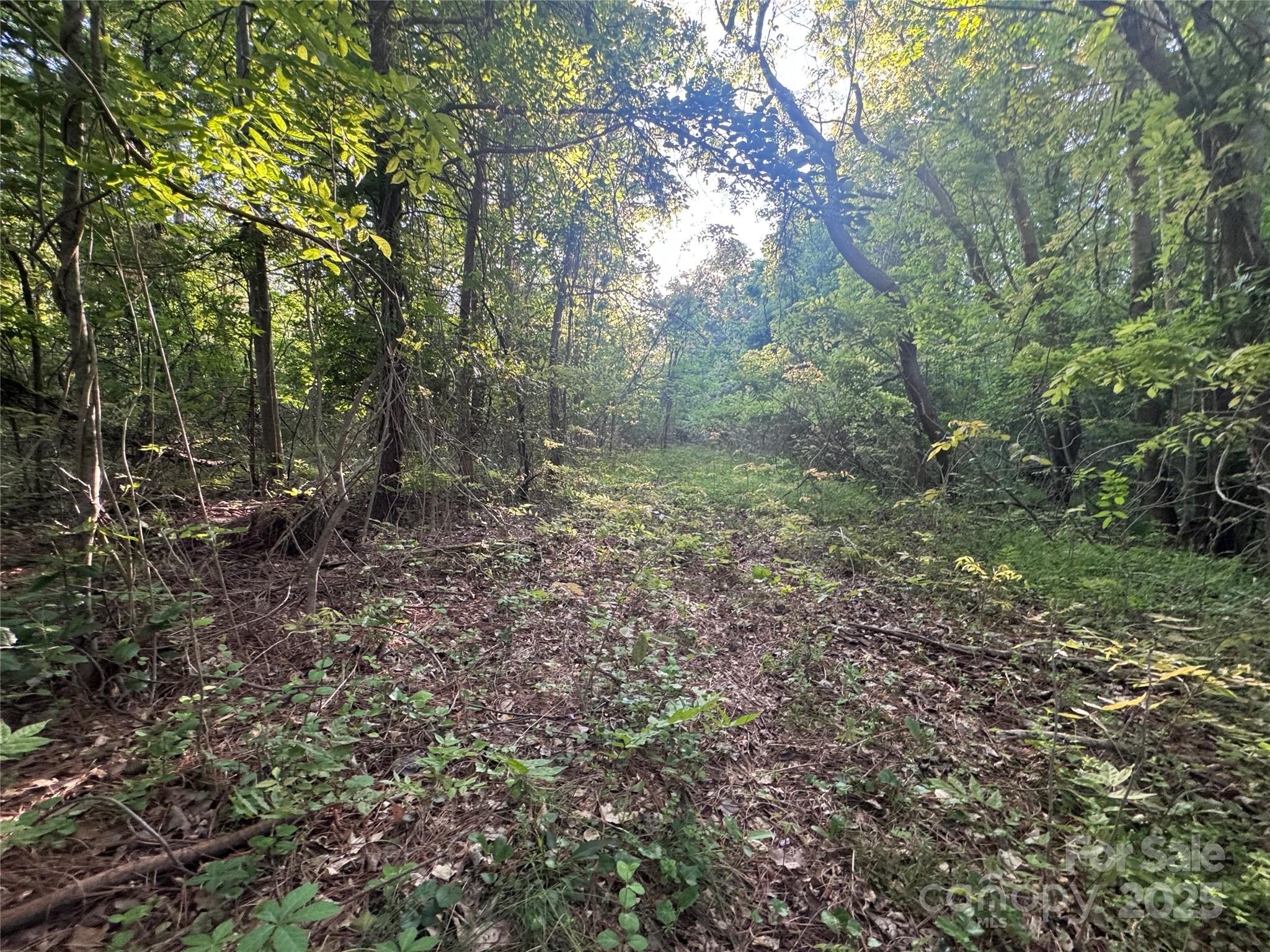 4675 Harmony Highway Property Photo 17