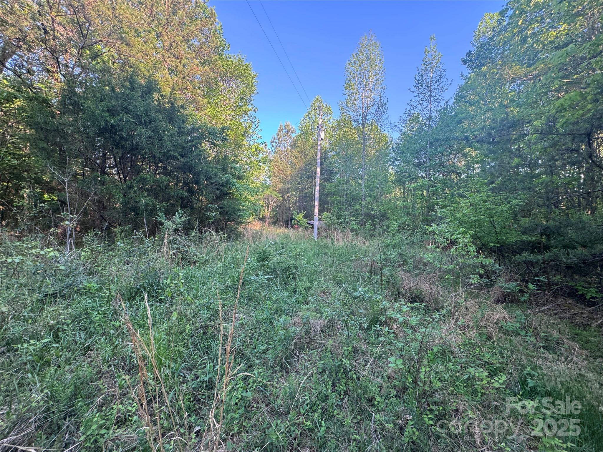 4675 Harmony Highway Property Photo 18