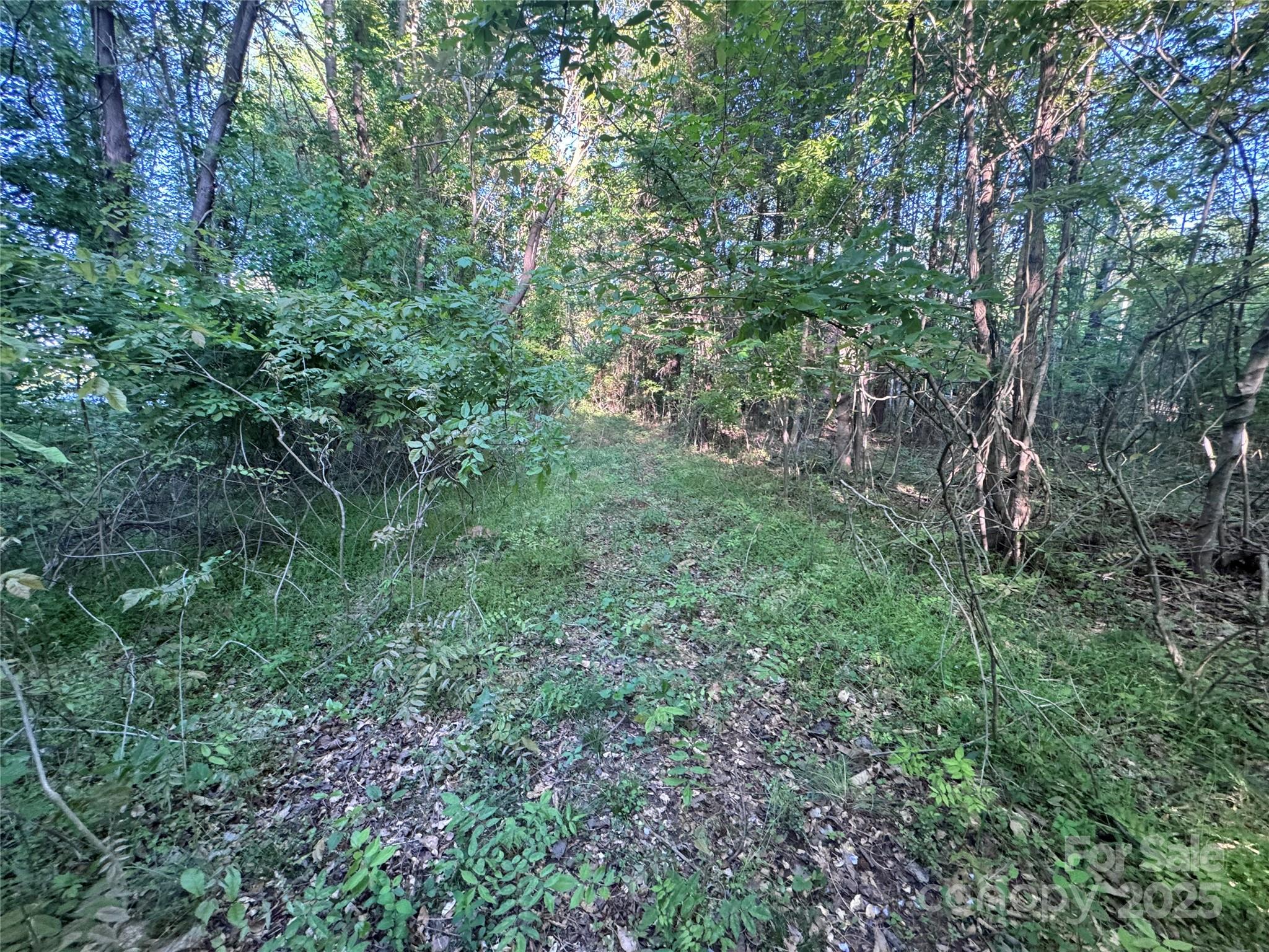 4675 Harmony Highway Property Photo 19