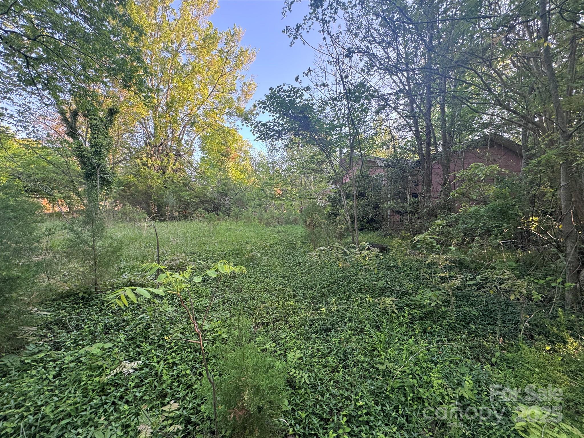 4675 Harmony Highway Property Photo 20