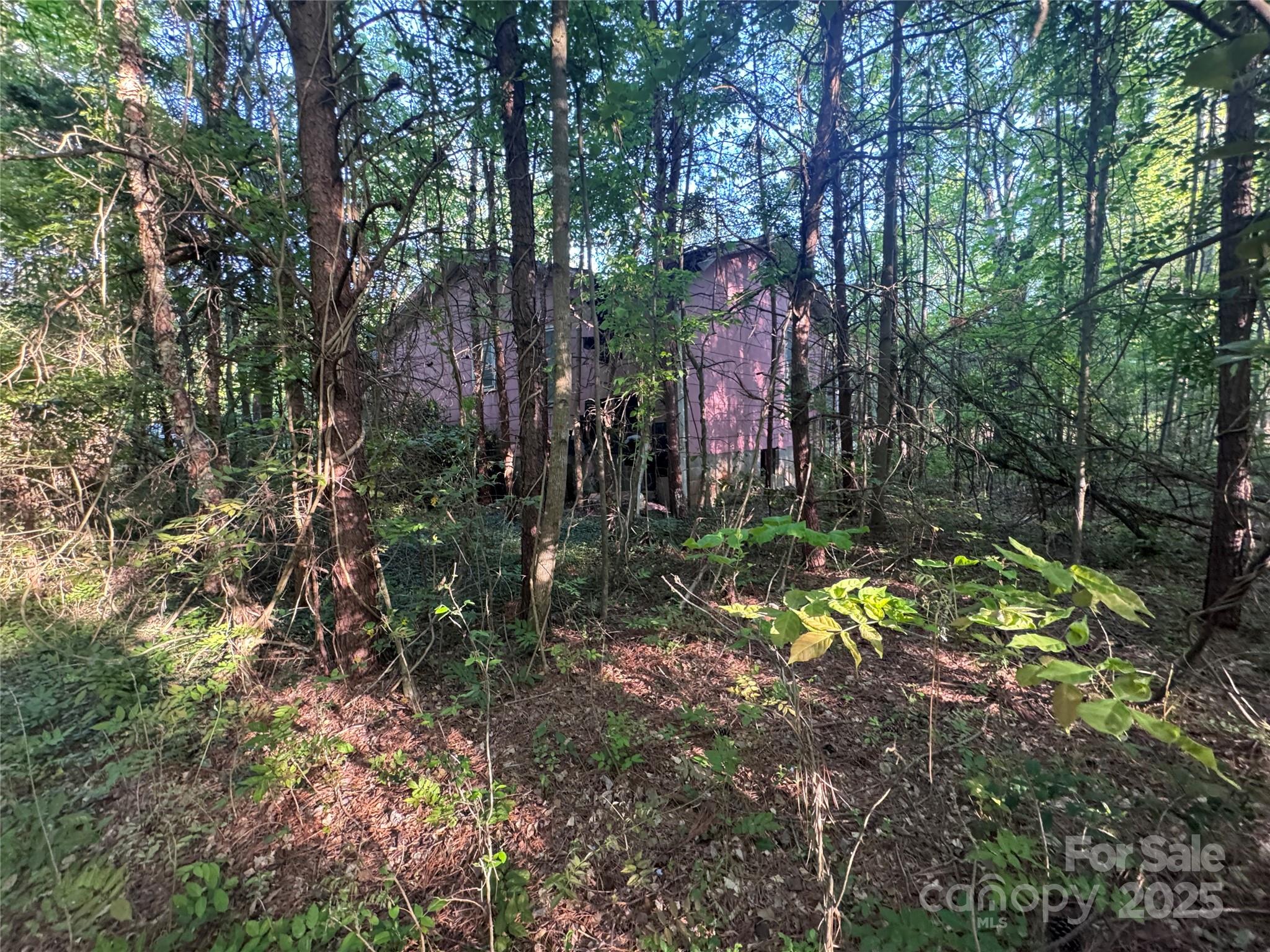 4675 Harmony Highway Property Photo 21