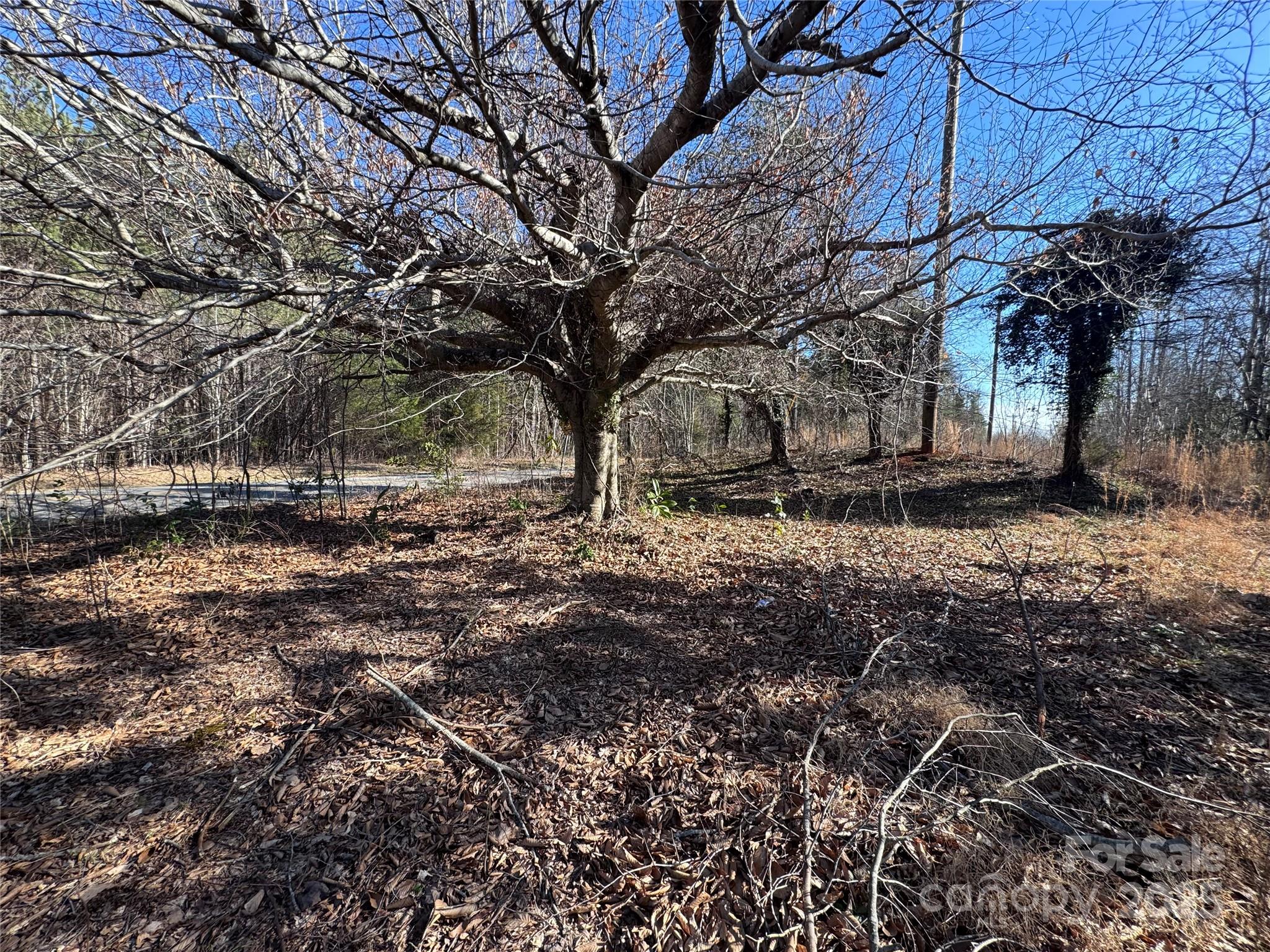 4675 Harmony Highway Property Photo 30