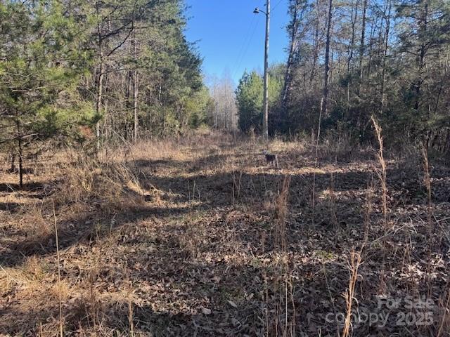 4675 Harmony Highway Property Photo 37