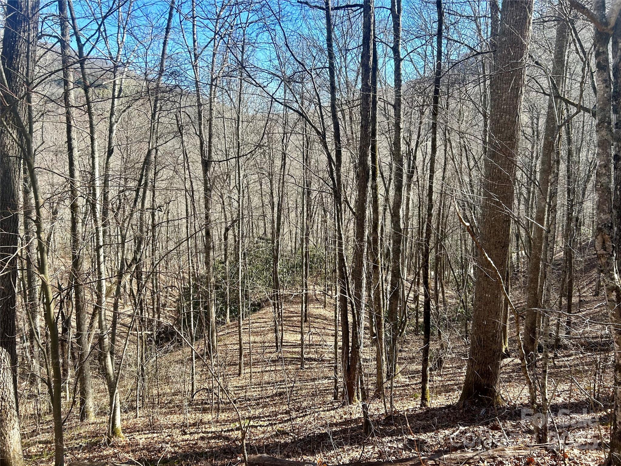0 Deep Gap View 52&53 Property Photo