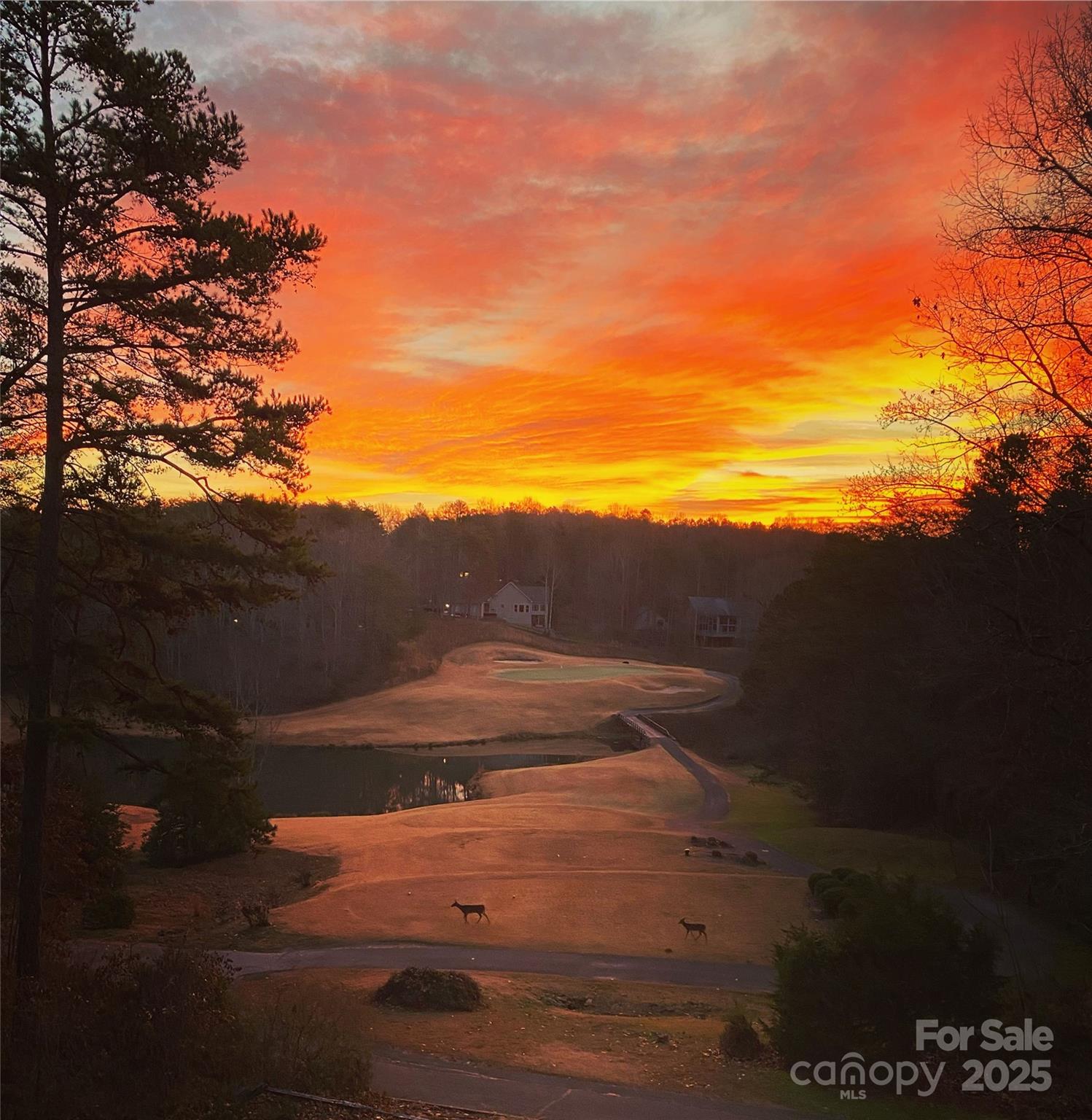 172 Summer Morning Court Property Photo 1