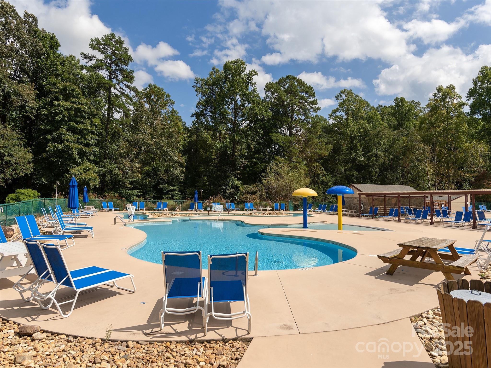 172 Summer Morning Court Property Photo 39