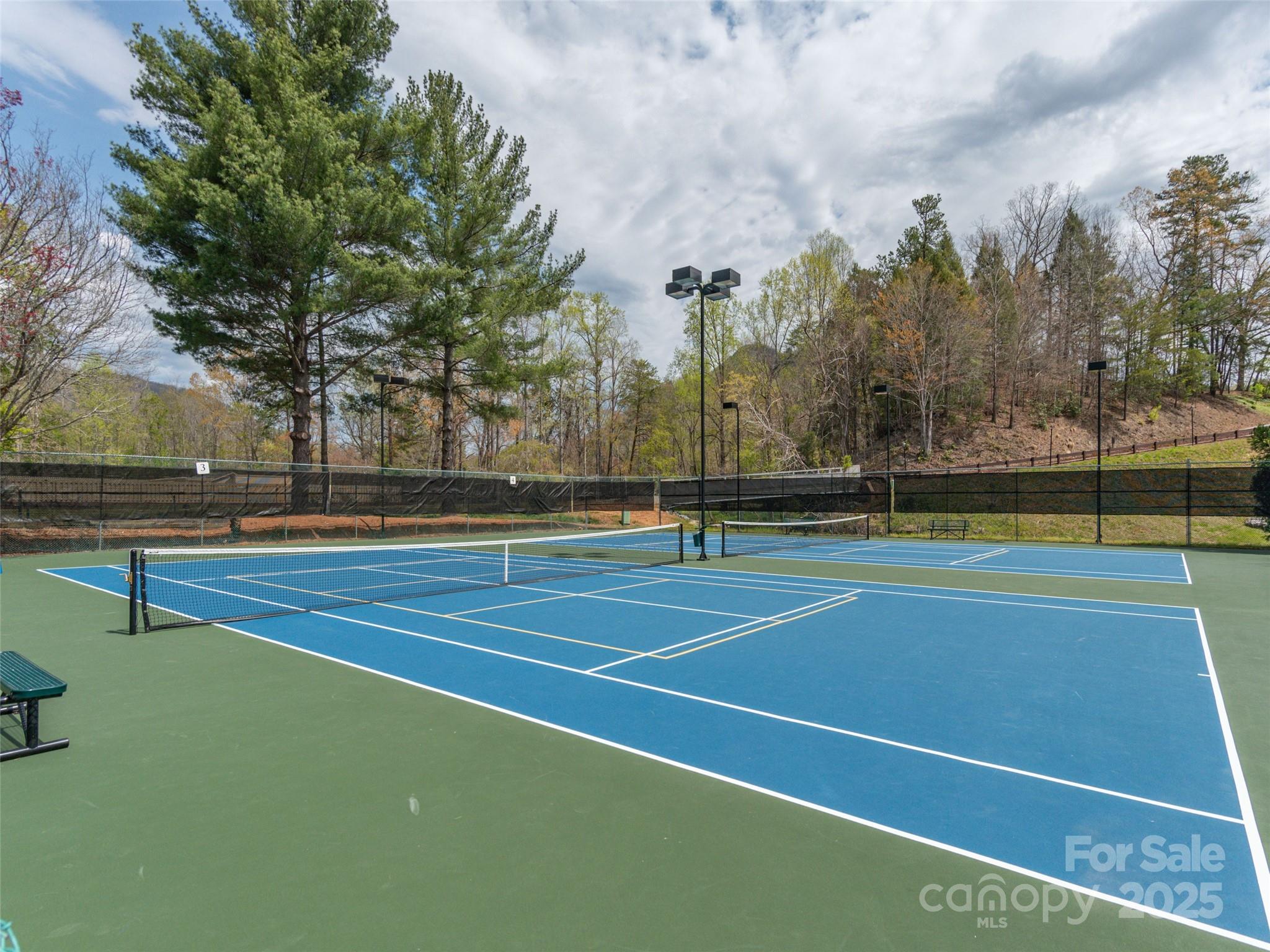 172 Summer Morning Court Property Photo 41