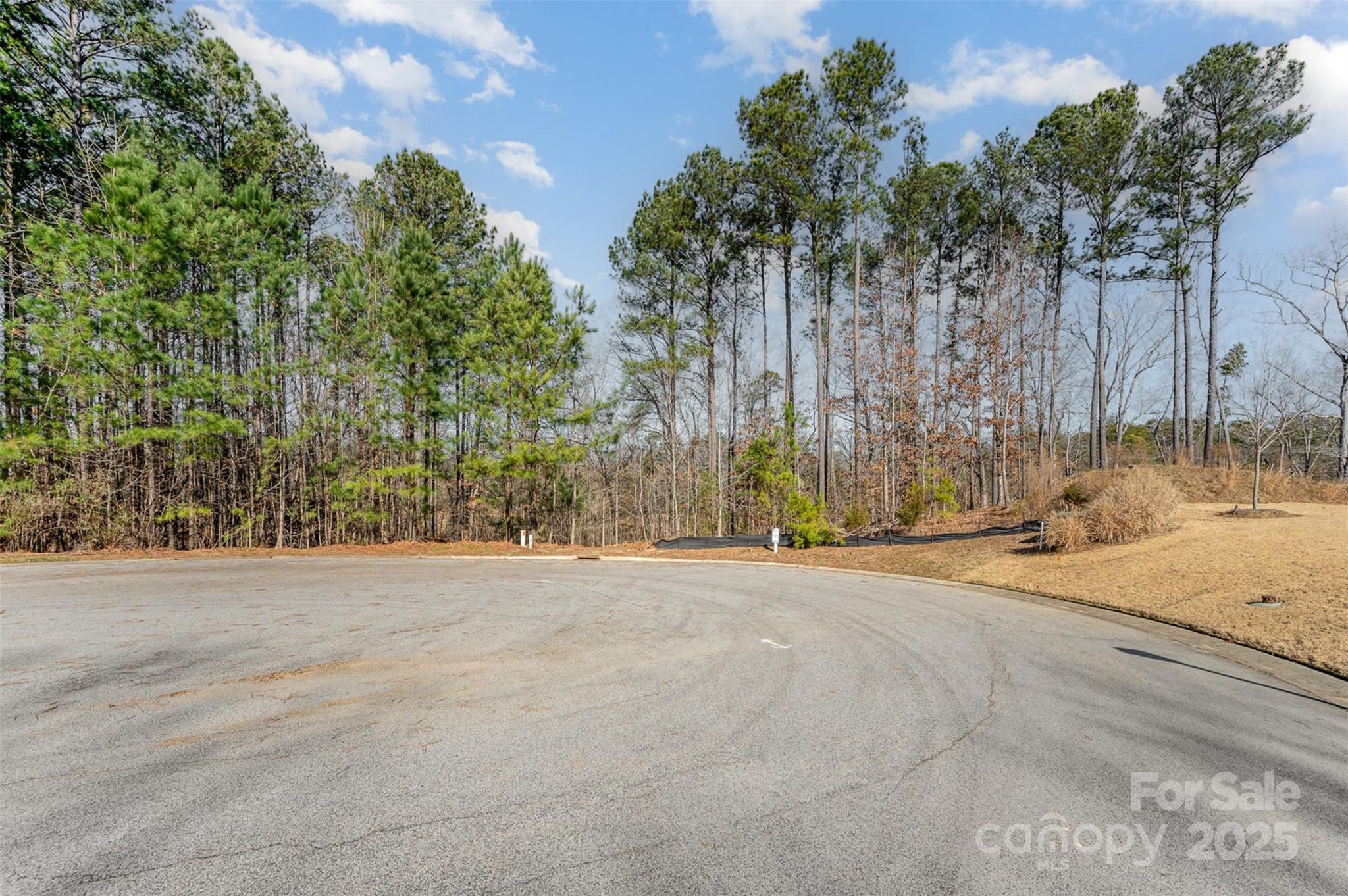 3993 Serenity Now Way Property Photo 3
