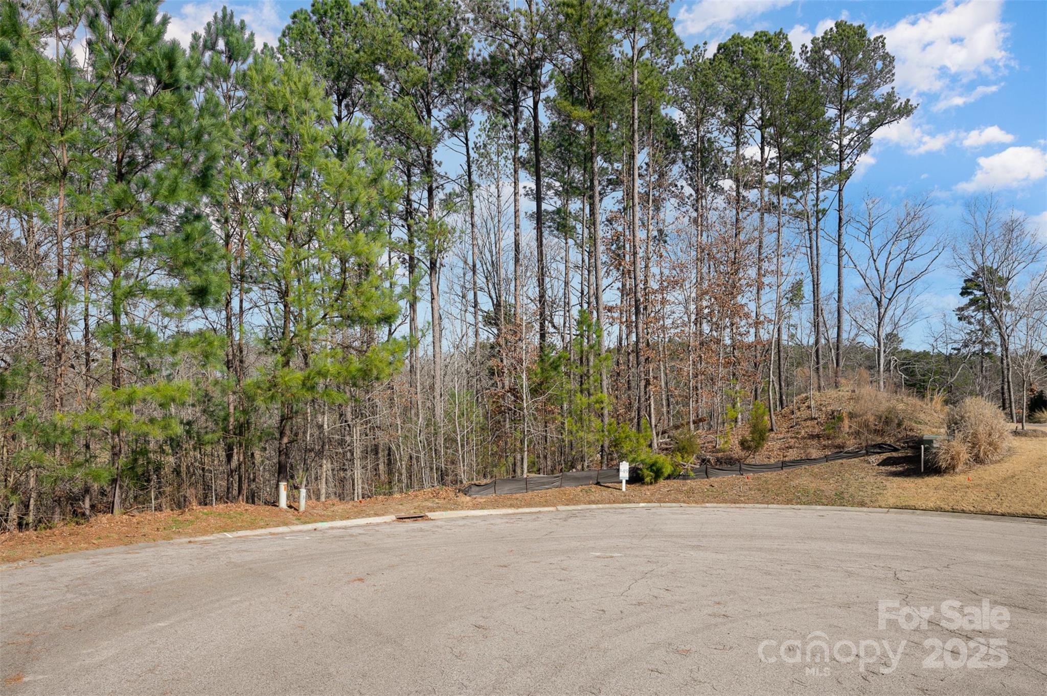 3993 Serenity Now Way Property Photo 4