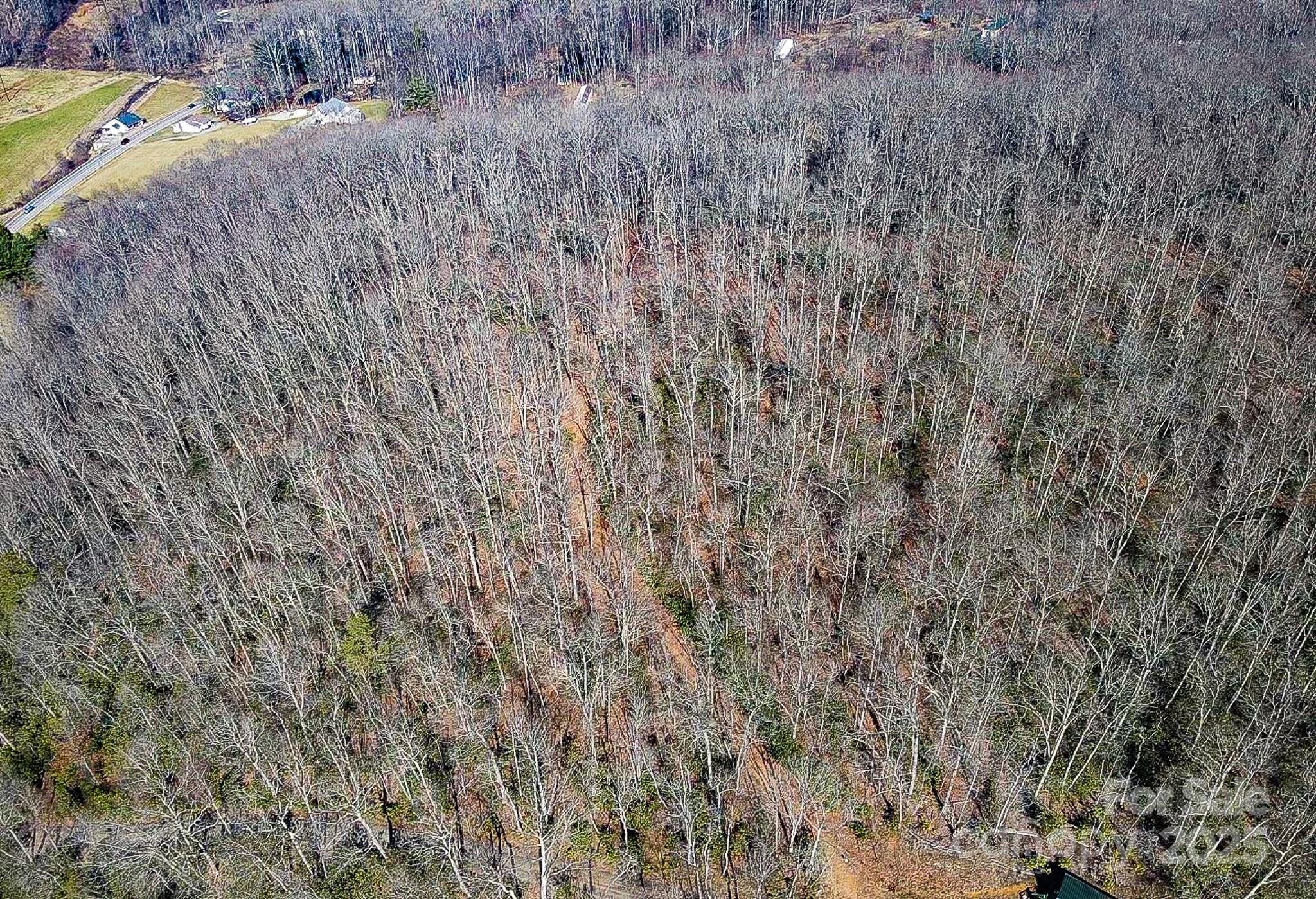 99999 Dark Cove Road Property Photo 3