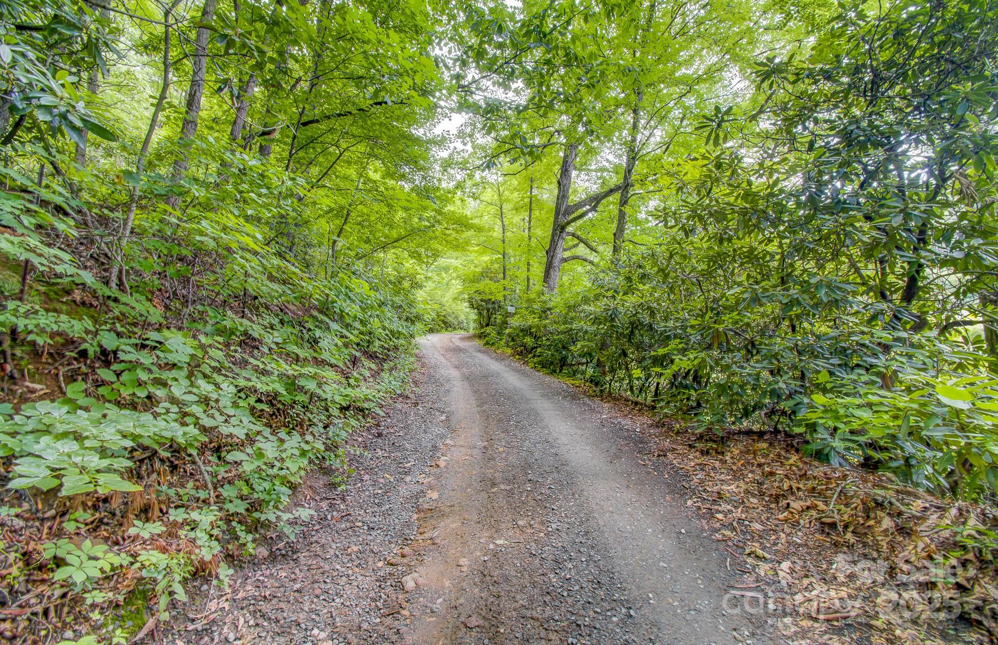 99999 Dark Cove Road Property Photo 7