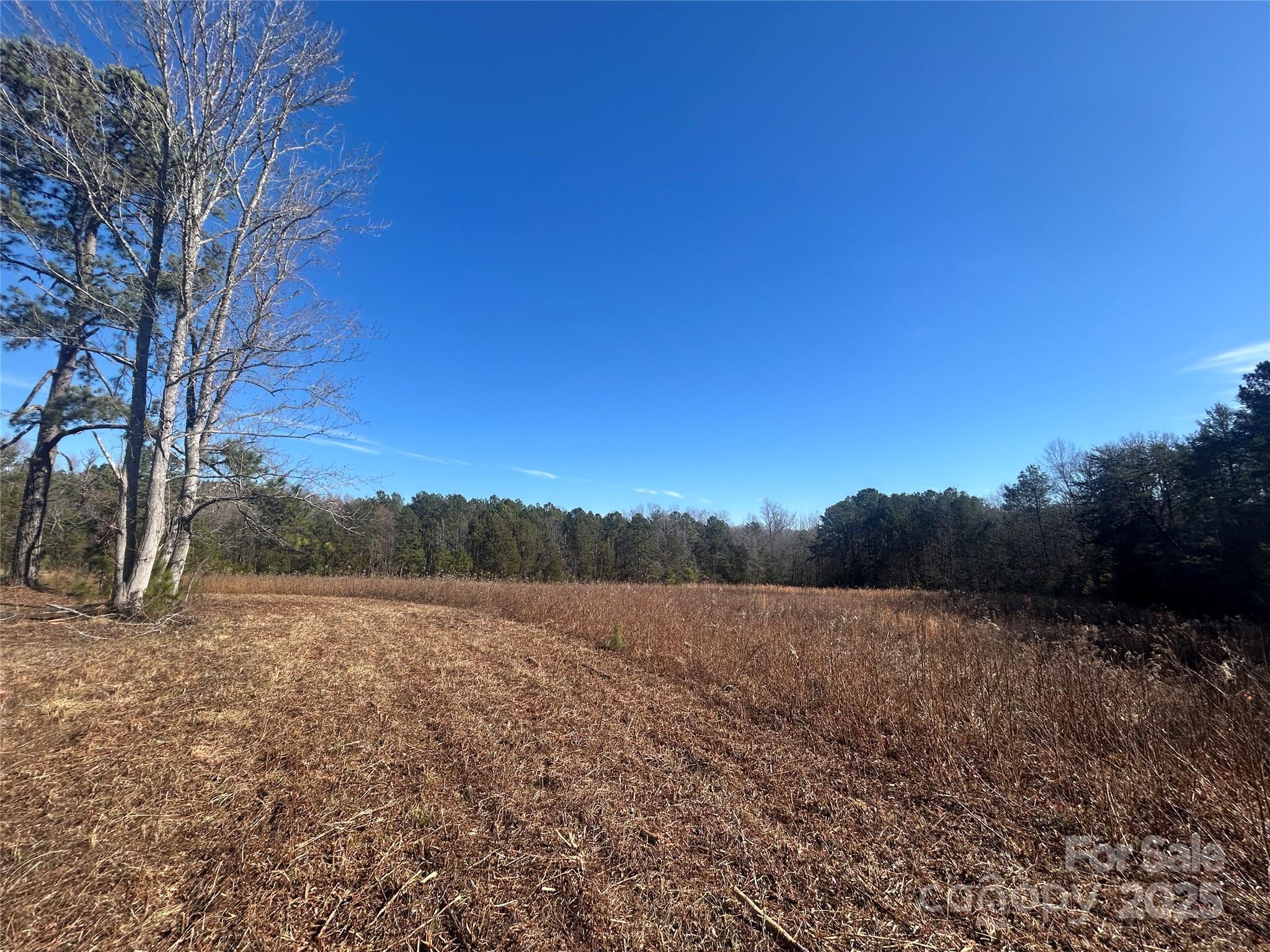 6 Ac Sandifer Road Property Photo