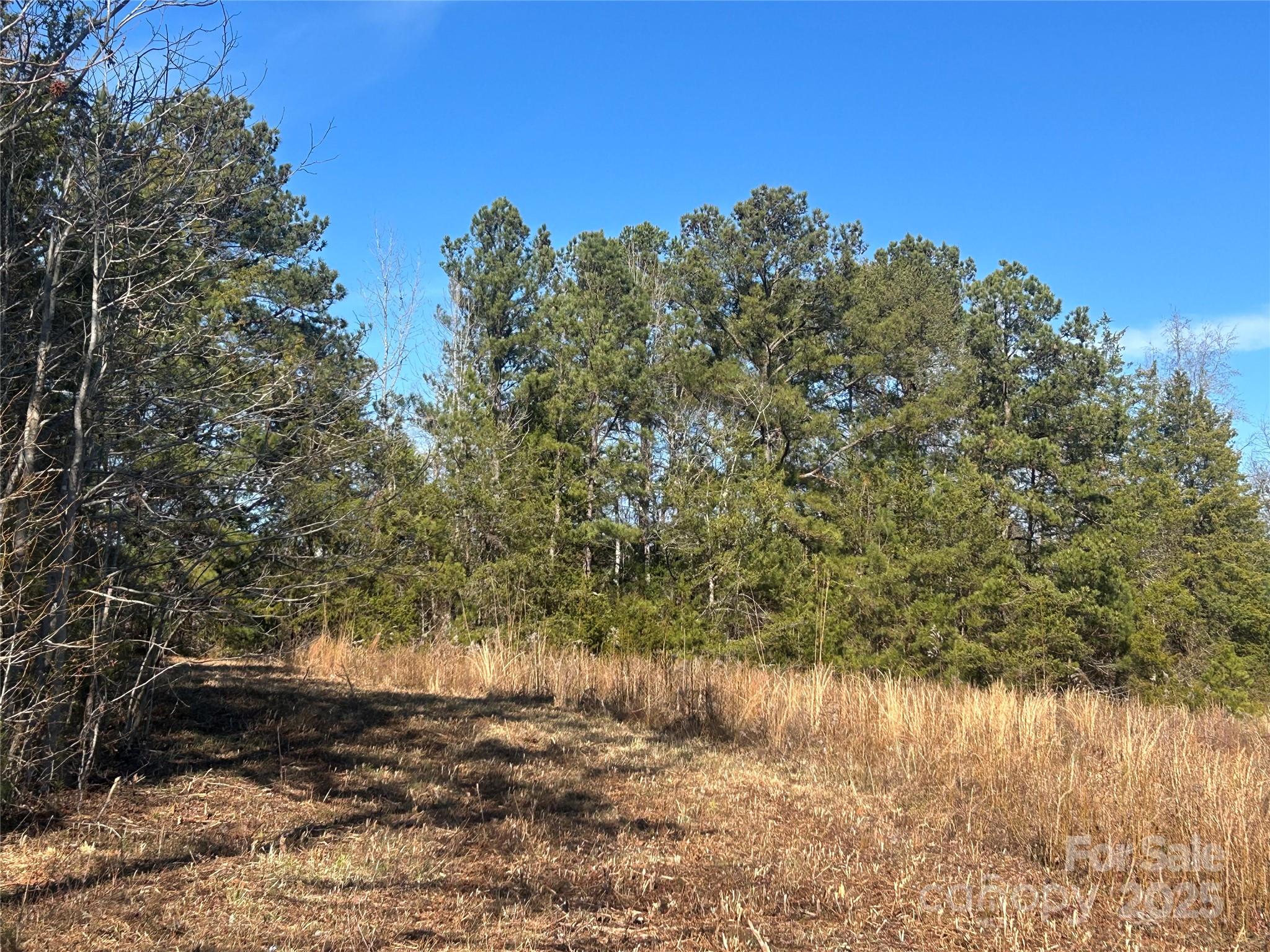 6 Ac Sandifer Road Property Photo 3