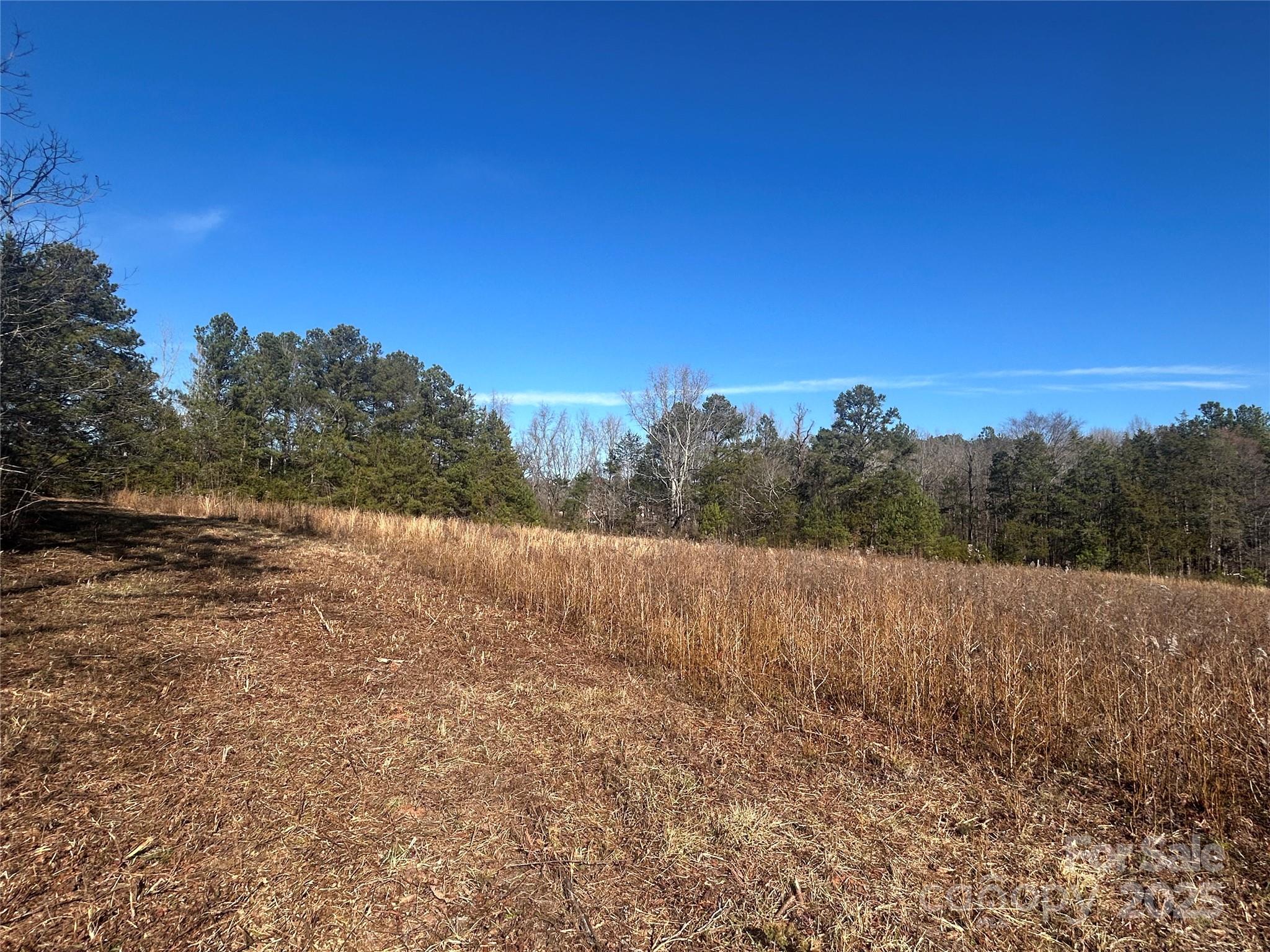 6 Ac Sandifer Road Property Photo 4