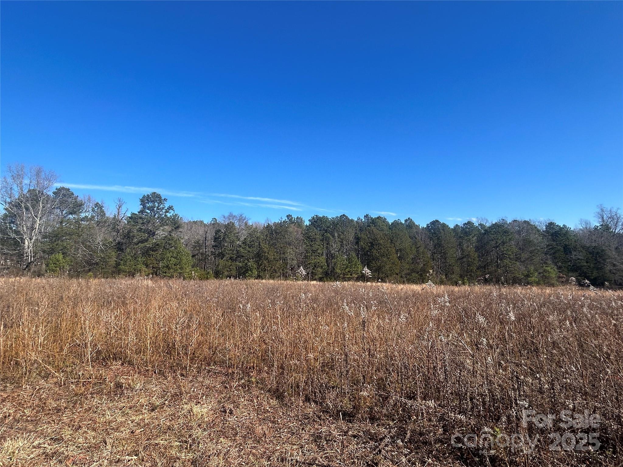 6 Ac Sandifer Road Property Photo 5