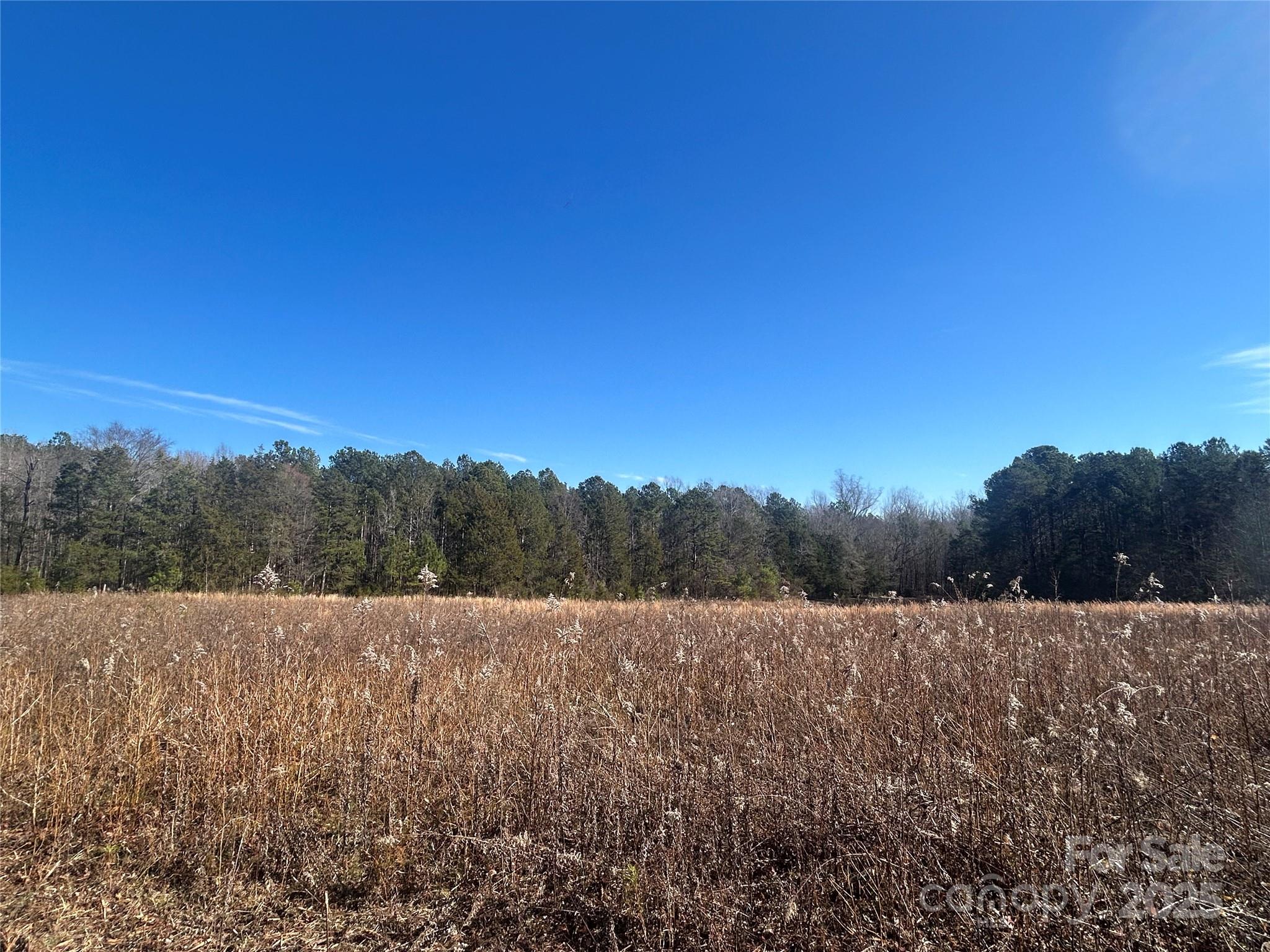 6 Ac Sandifer Road Property Photo 6