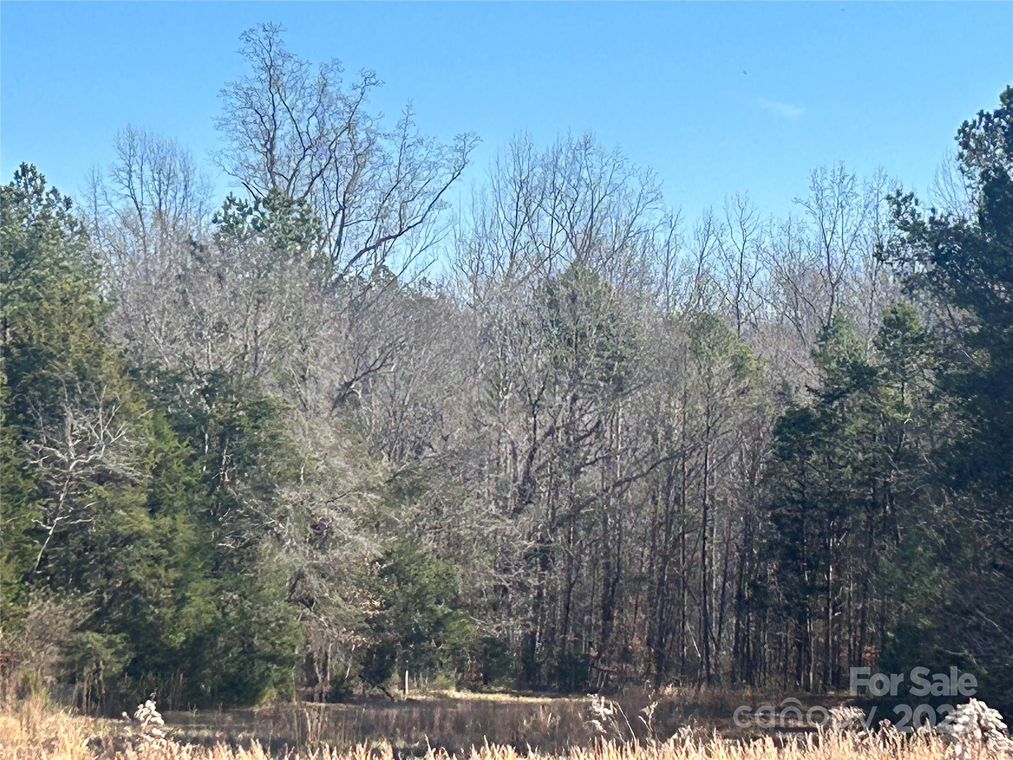 6 Ac Sandifer Road Property Photo 8
