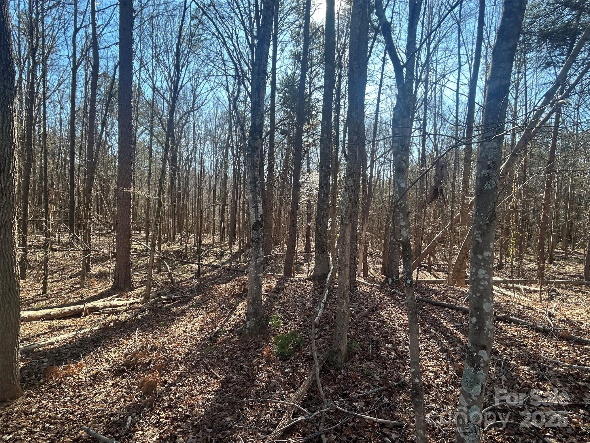 6 Ac Sandifer Road Property Photo 9