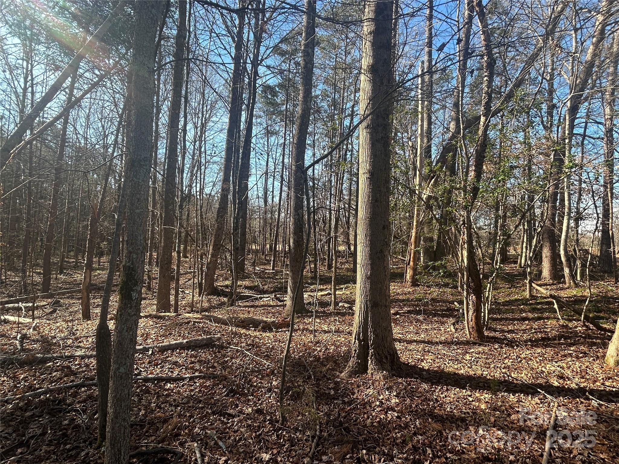 6 Ac Sandifer Road Property Photo 10