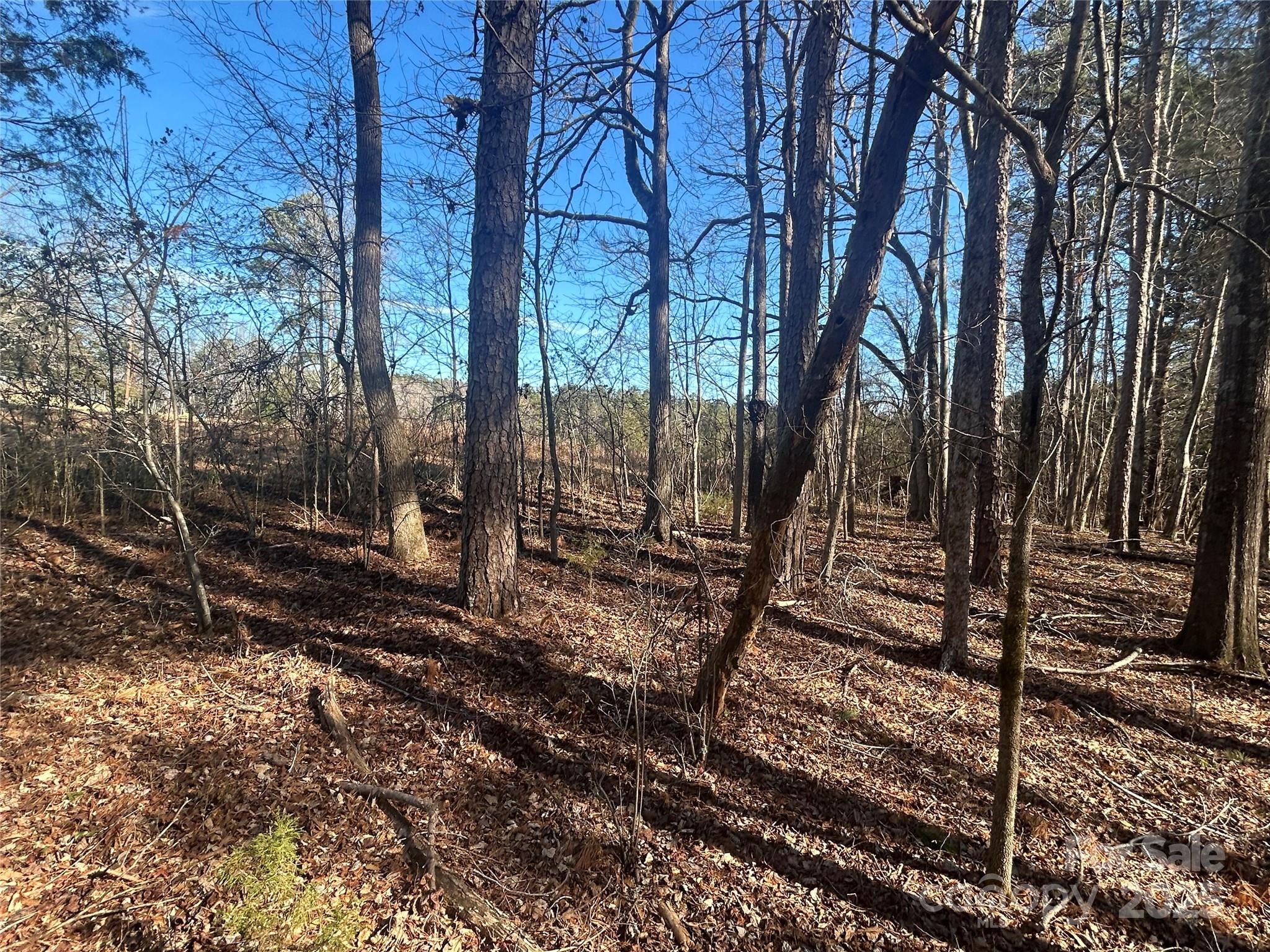 6 Ac Sandifer Road Property Photo 12
