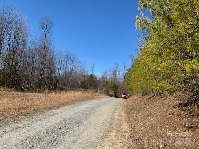 7.6 Ac Mol Tract Off Plea Pleasant Grove Road 7.6 Ac. Mol Property Photo 2