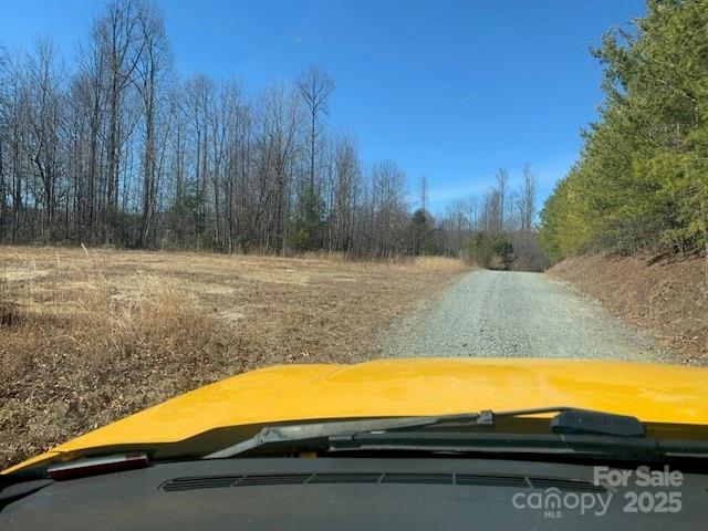 7.6 Ac Mol Tract Off Plea Pleasant Grove Road 7.6 Ac. Mol Property Photo 3
