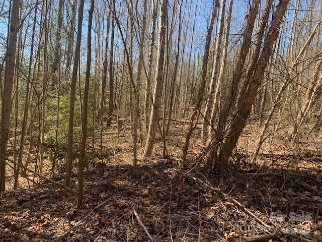 7.6 Ac Mol Tract Off Plea Pleasant Grove Road 7.6 Ac. Mol Property Photo 4