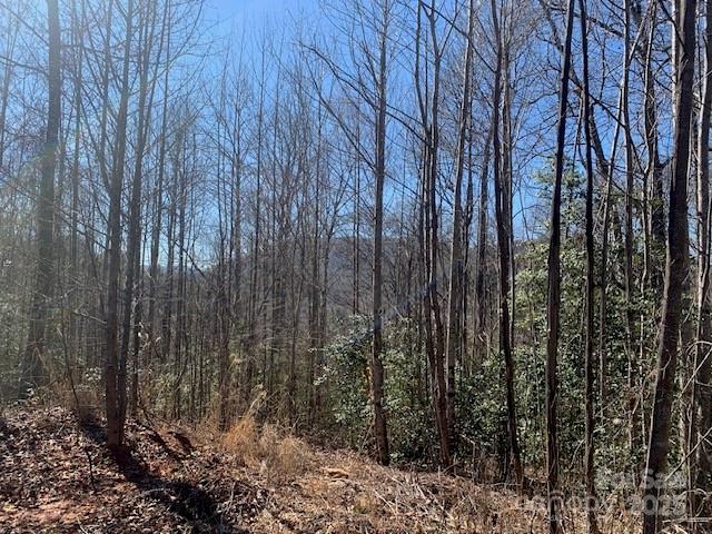 7.6 Ac Mol Tract Off Plea Pleasant Grove Road 7.6 Ac. Mol Property Photo 5