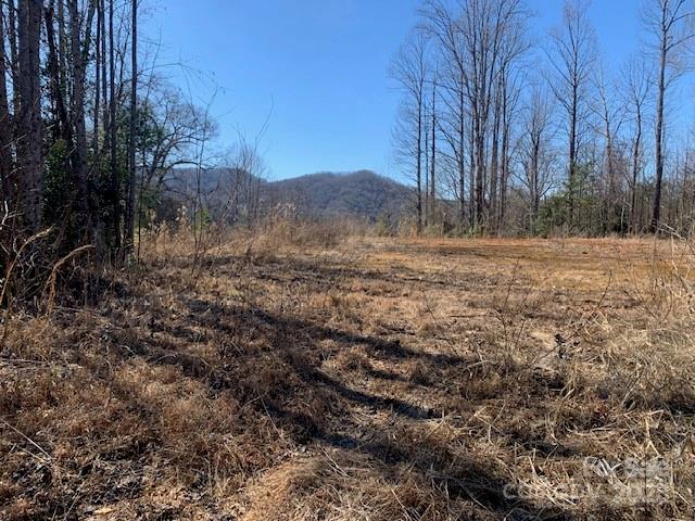 7.6 Ac Mol Tract Off Plea Pleasant Grove Road 7.6 Ac. Mol Property Photo 6