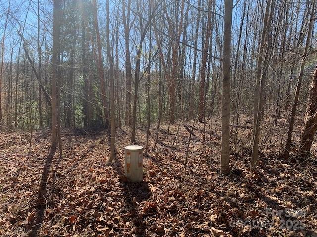 7.6 Ac Mol Tract Off Plea Pleasant Grove Road 7.6 Ac. Mol Property Photo 7
