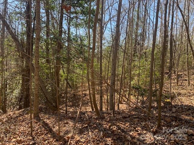 7.6 Ac Mol Tract Off Plea Pleasant Grove Road 7.6 Ac. Mol Property Photo 8