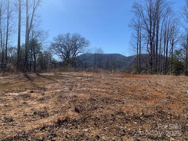 7.6 Ac Mol Tract Off Plea Pleasant Grove Road 7.6 Ac. Mol Property Photo 9